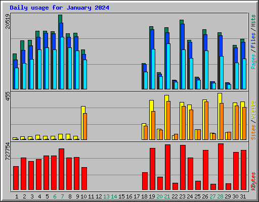 Daily usage for January 2024