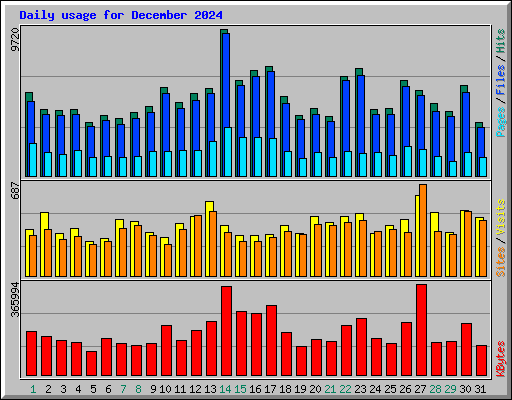Daily usage for December 2024