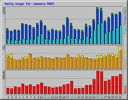 Daily usage for January 2025