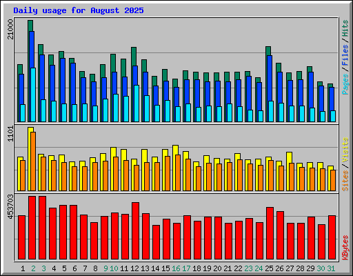 Daily usage for August 2025