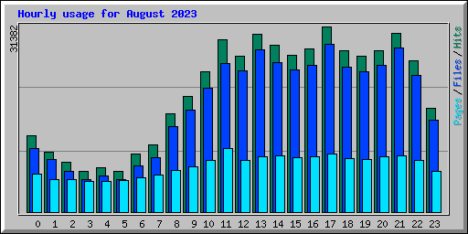 Hourly usage for August 2023