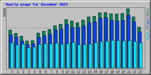 Hourly usage for December 2023