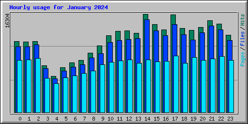 Hourly usage for January 2024