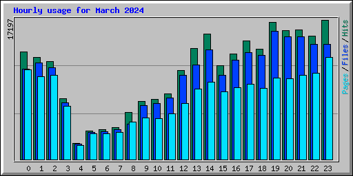 Hourly usage for March 2024