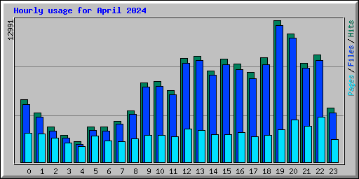 Hourly usage for April 2024