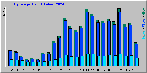 Hourly usage for October 2024