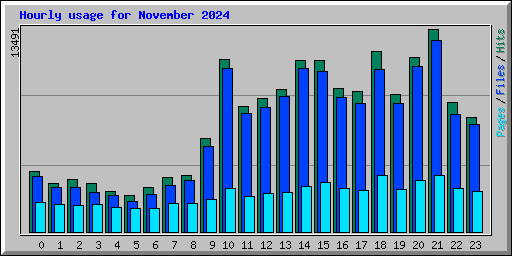 Hourly usage for November 2024