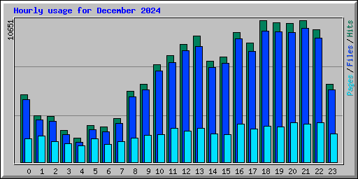 Hourly usage for December 2024