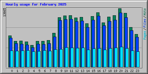 Hourly usage for February 2025