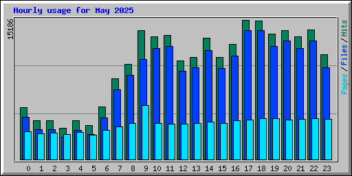 Hourly usage for May 2025