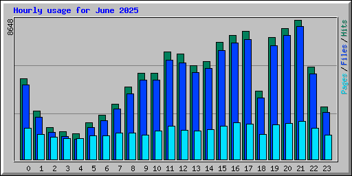 Hourly usage for June 2025