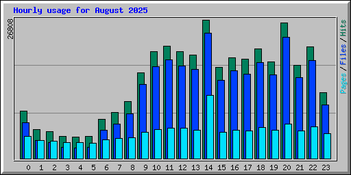 Hourly usage for August 2025