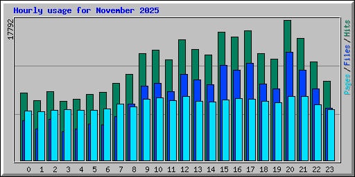 Hourly usage for November 2025