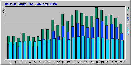 Hourly usage for January 2026