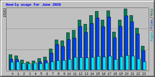 Hourly usage for June 2026
