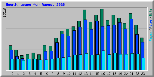 Hourly usage for August 2026